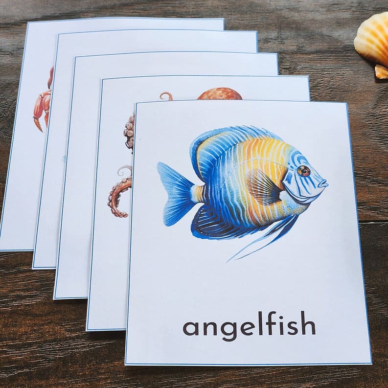 Ocean Creatures Mini Pack