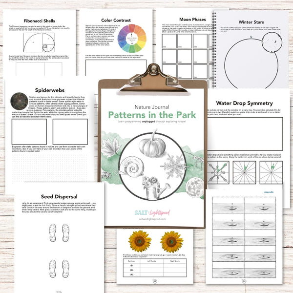 Patterns in the Park