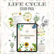 Plants Life Cycle Series Printable Study