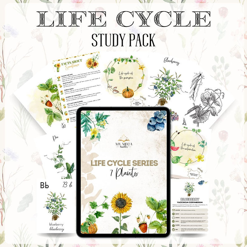 Plants Life Cycle Series Printable Study