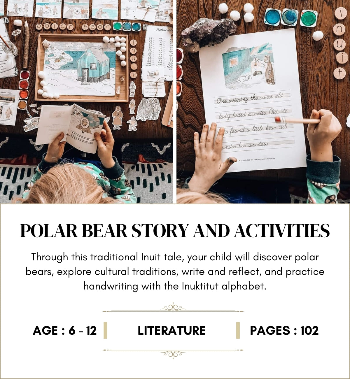 Polar Bear Story and Activities