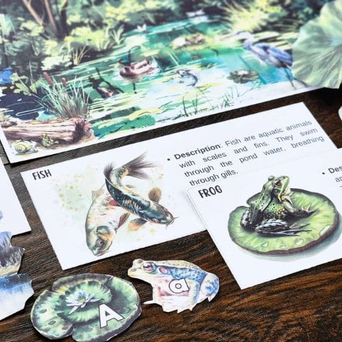 Pond Printable Study