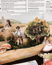 Johnny Appleseed Printable Pack