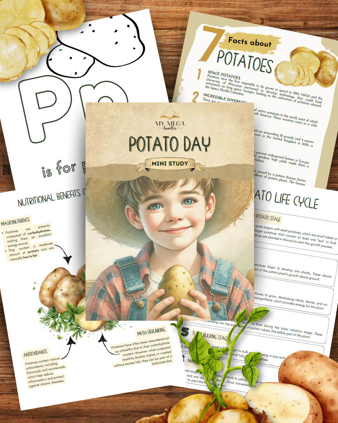 Potato Day - Mini Study