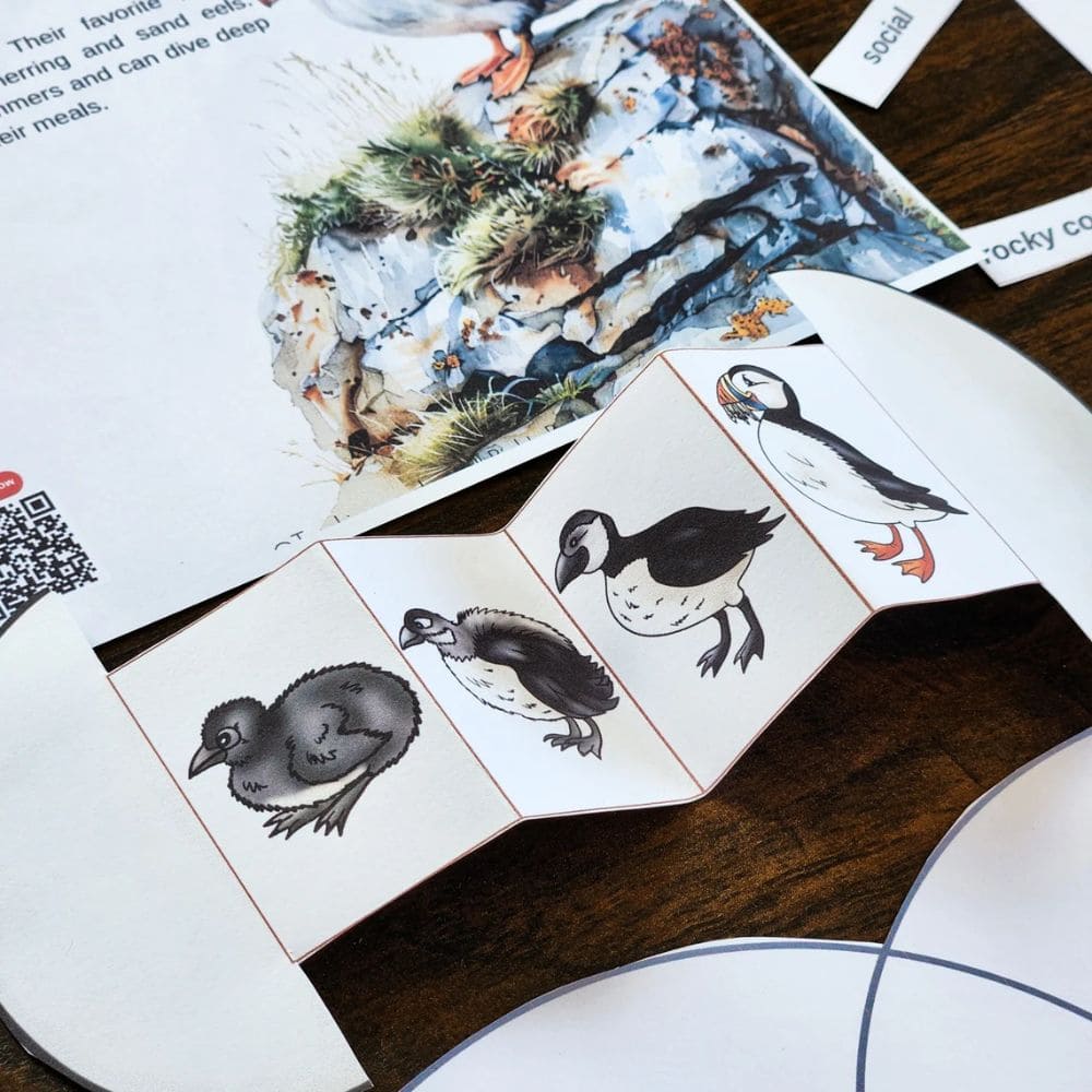 Puffins Nature Unit Study