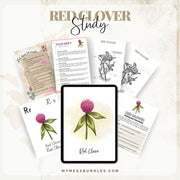 Red Clover Explorer Pack: Journey into the World of Flora