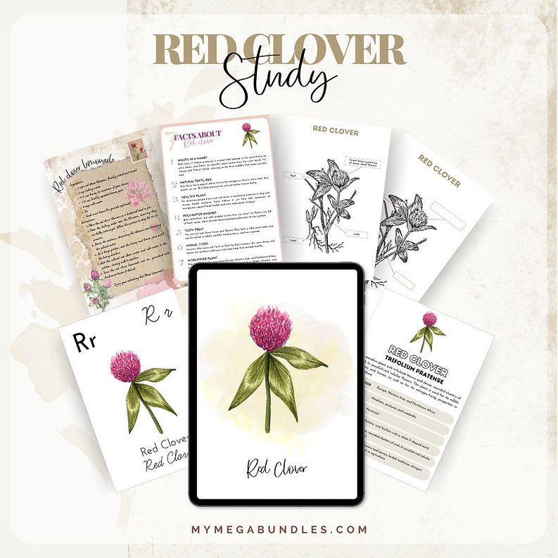 Red Clover Explorer Pack: Journey into the World of Flora