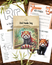 Red Panda Day – Mini Study