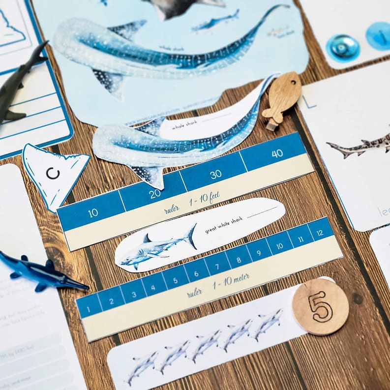 Sharks Printable Study