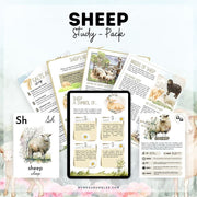 Sheep Study Pack