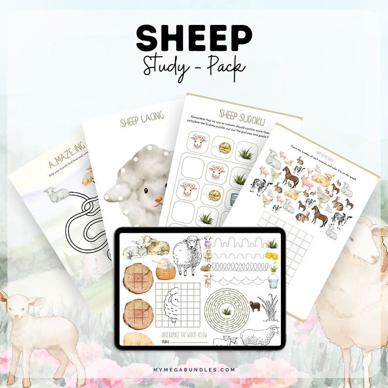 Sheep Study Pack