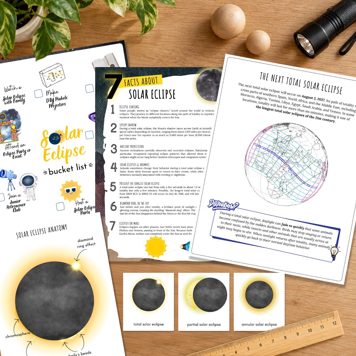 Space Bundle: 5 Printable Space & Astronomy Studies