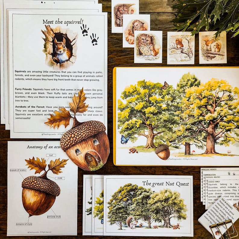Squirrel & Acorn Unit Study