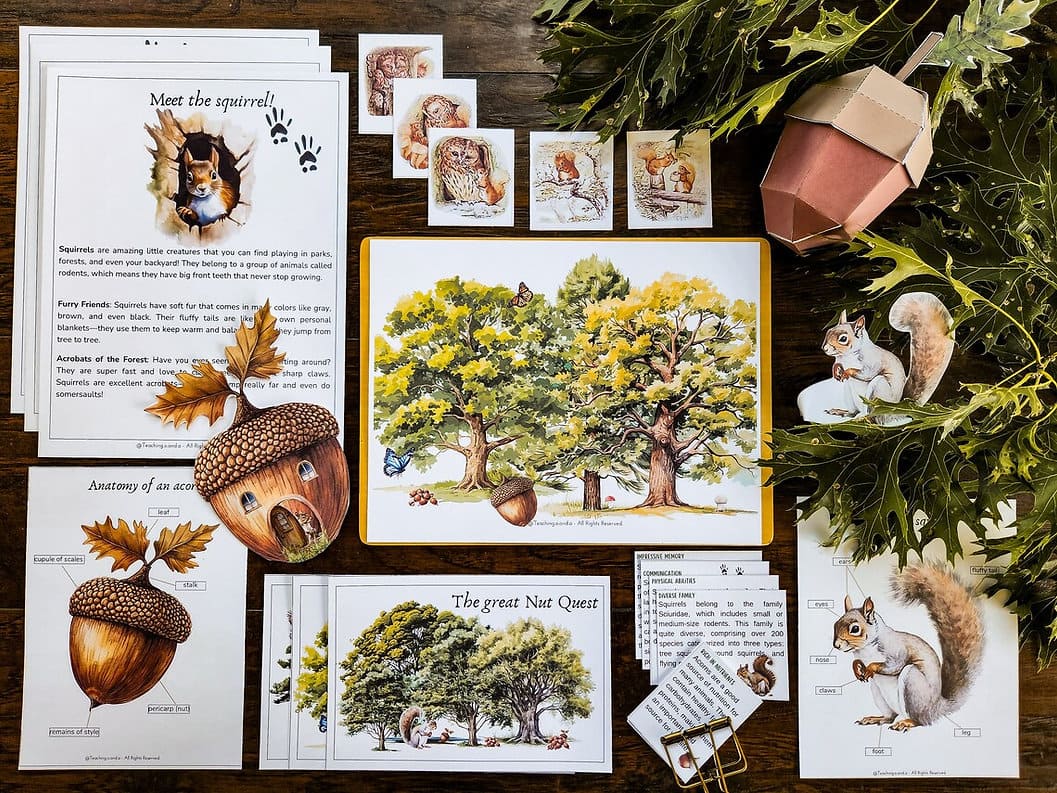 Squirrel & Acorn Unit Study