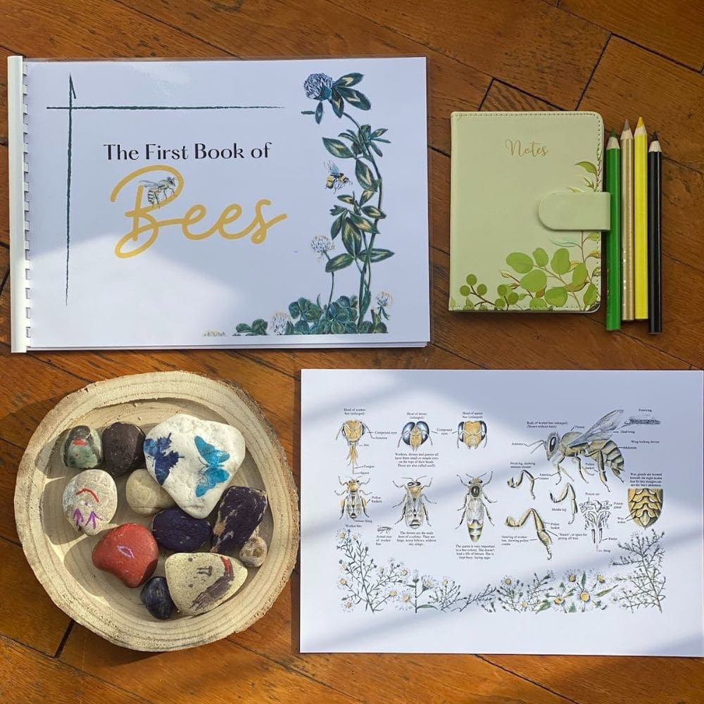 The First Book of Bees Printable