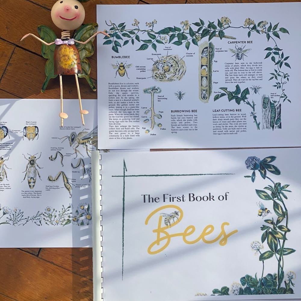 The First Book of Bees Printable