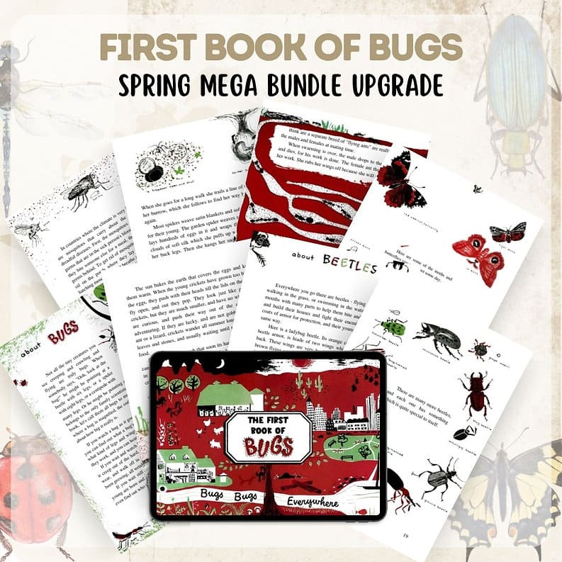 The First Book of Bugs