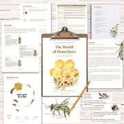 World of Honeybees Nature Study Homeschooling Printable
