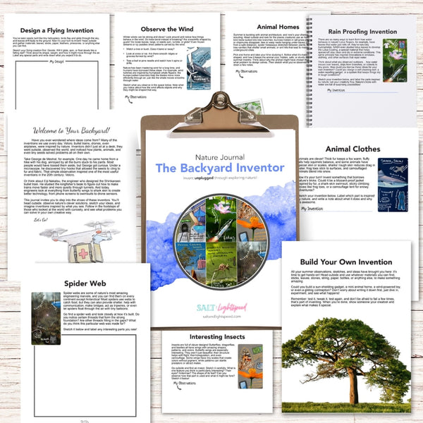 The Backyard Inventor