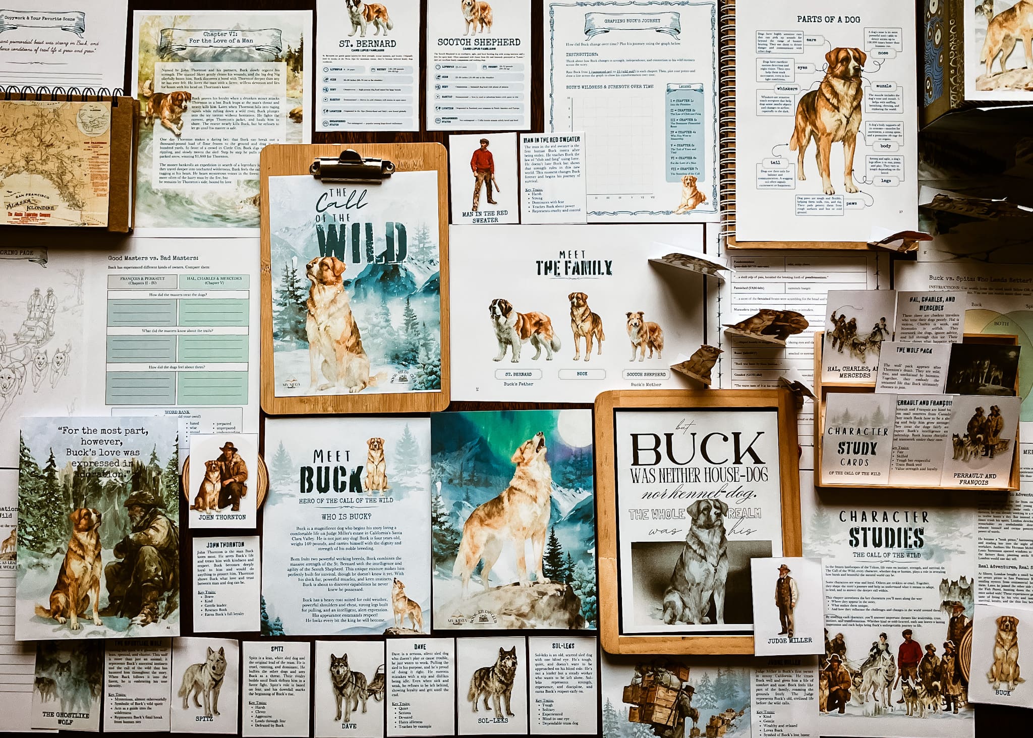 The Call of the Wild Book Study for Homeschool – Literature & History Integration