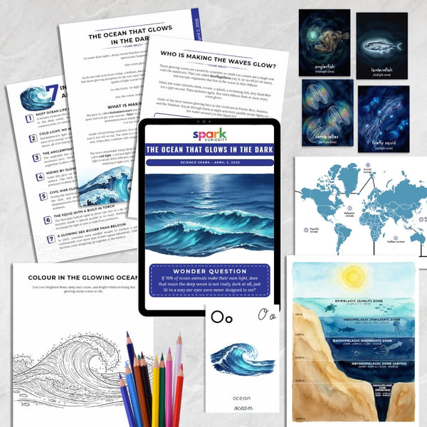 The Ocean That Glows in the Dark