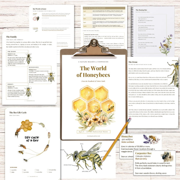 The World of Honeybees