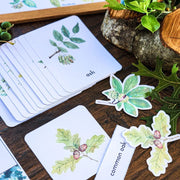Trees & Leaves Study Unit