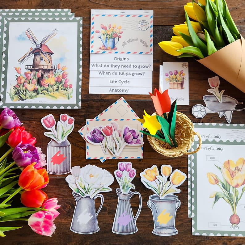 Tulips Study Printable