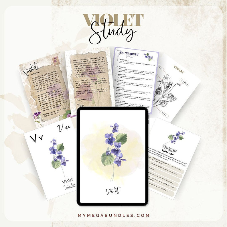 Violet Discovery Pack: A Botanical Adventure for Young Minds