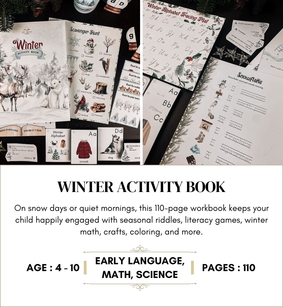 Winter Activity Book