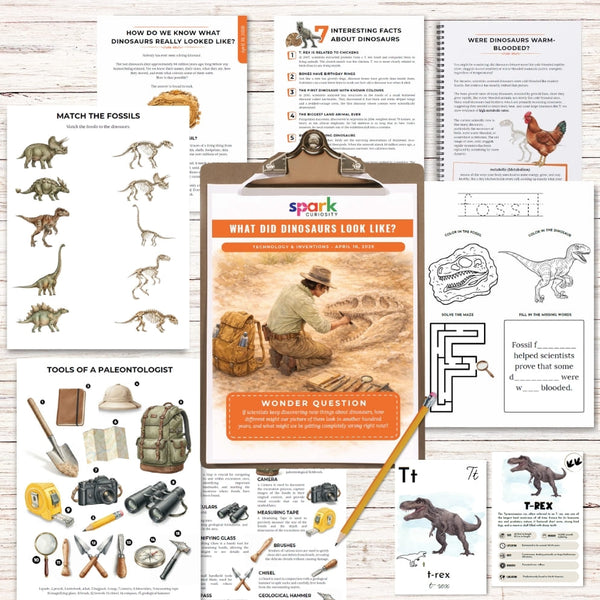 What Did Dinosaurs Look Like