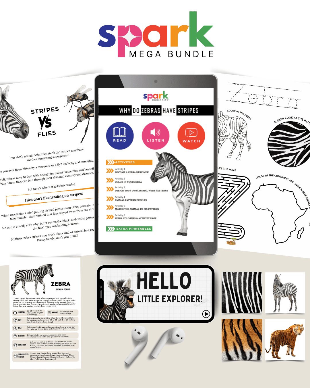 Why Do Zebras Have Stripes - Printable Study