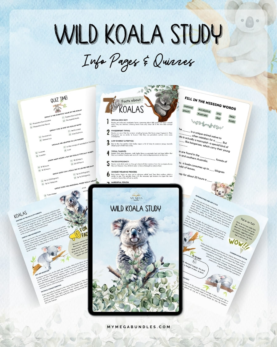 Wild Koala Expedition Printable Study