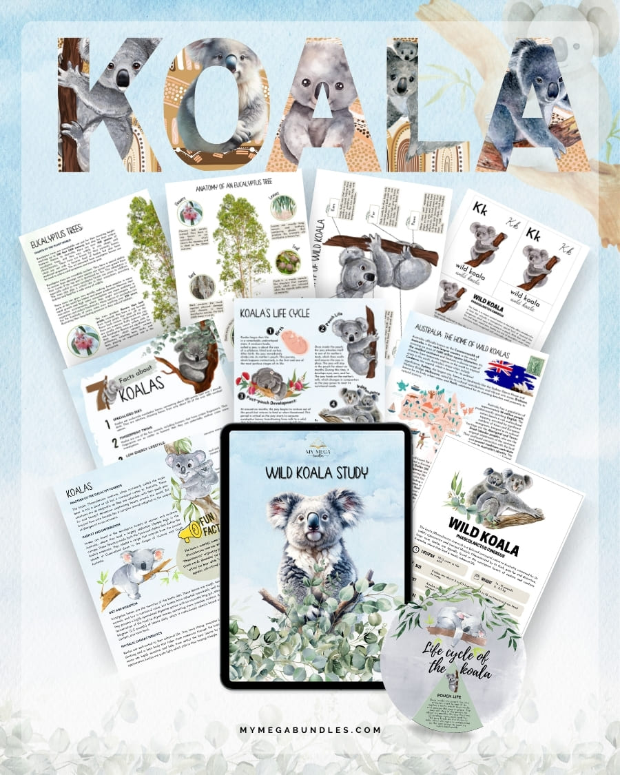 Wild Koala Expedition Printable Study