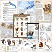 Wild Animals: Exploring the World of Wildlife Printable Study
