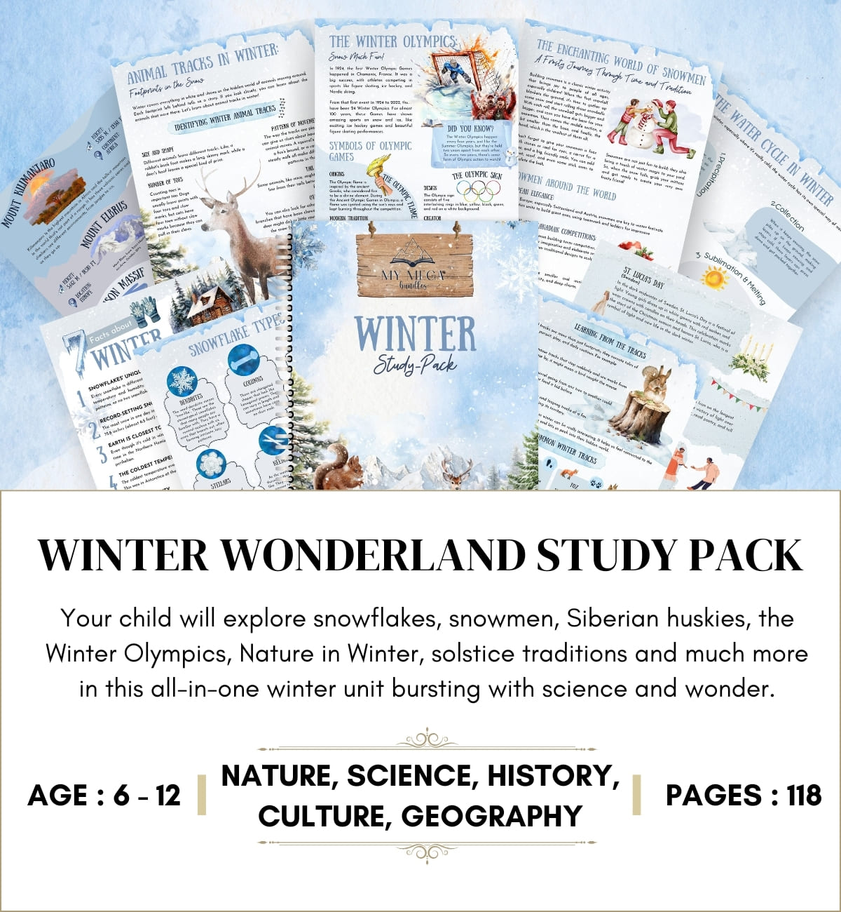 Winter Wonderland Study Pack
