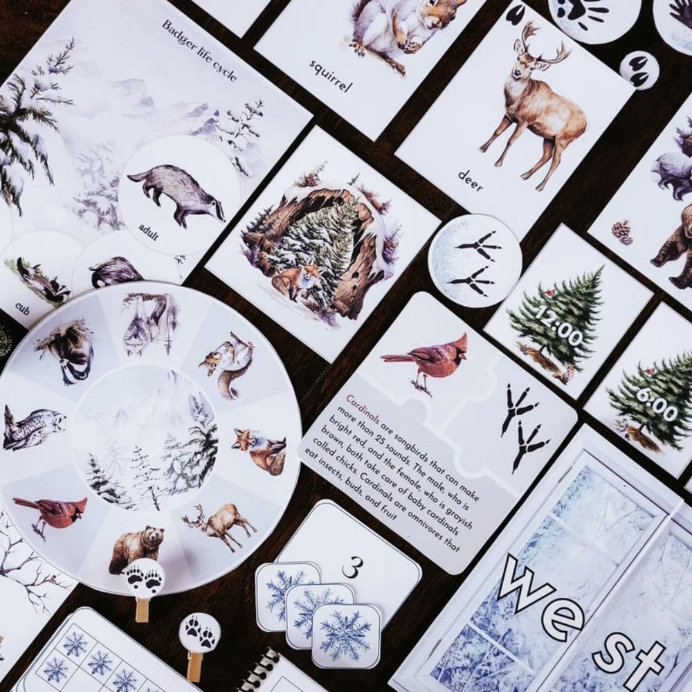 Winter Unit Printable Study