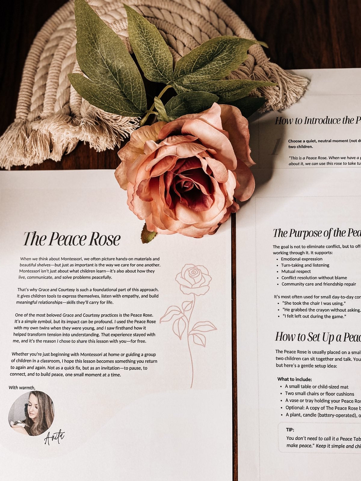 The Peace Rose Lesson Freebie
