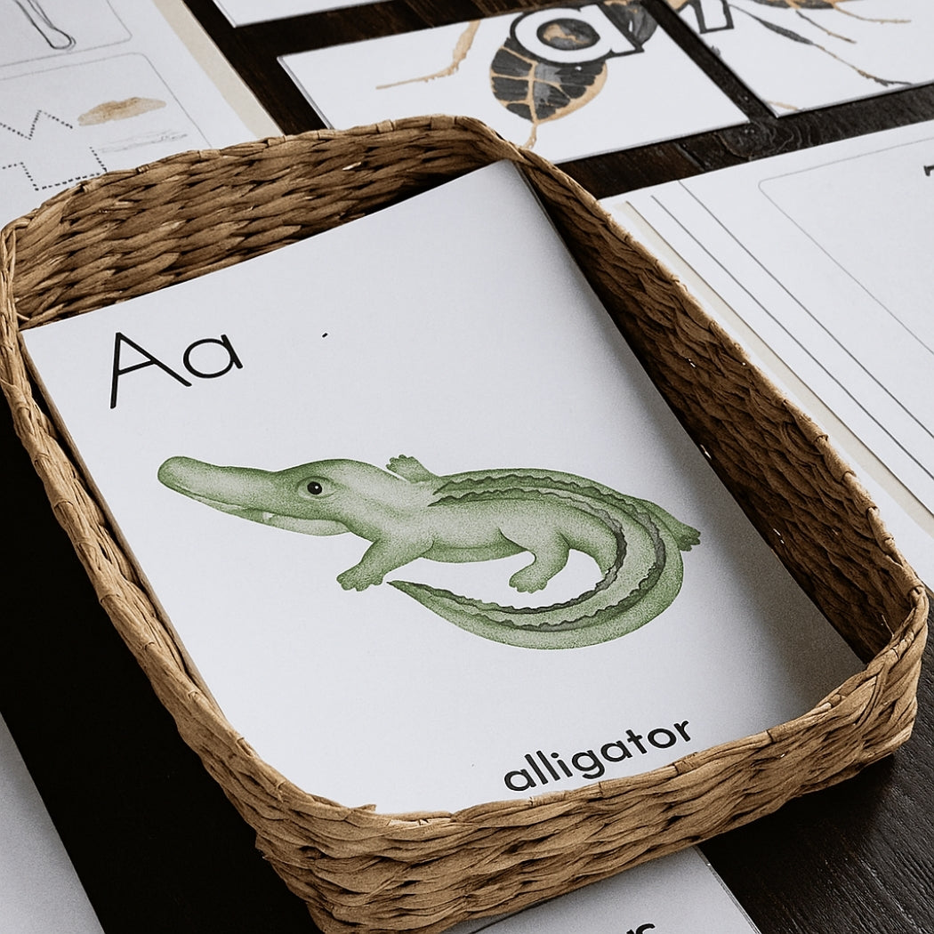 Preschool Alphabet Adventures Bundle