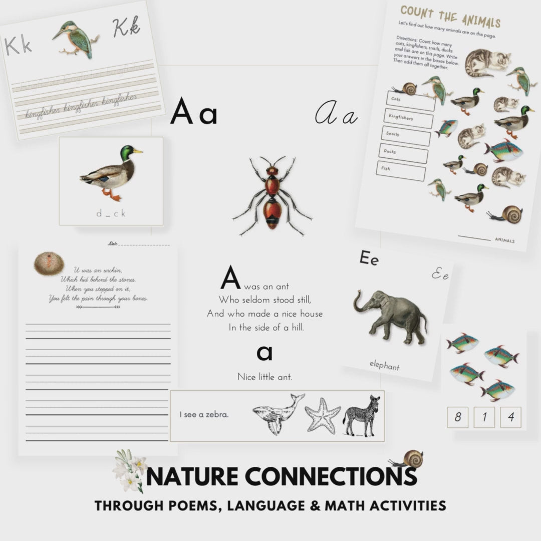 Load video: Nature Connections ABC Poems and Activities Printable Study