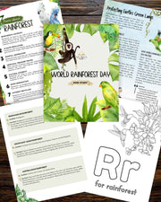 World Rainforest Day Printable Pack